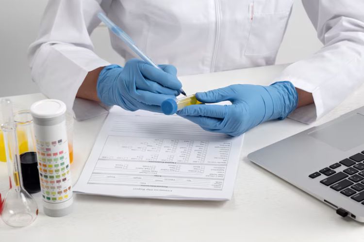 Conquer Your Microbiology Paper And Dissertation In Tallinn With Words Doctorate’s Expert Guidance