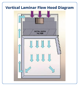 Vertical Laminar Flow Hood