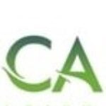 Let's Tax CA