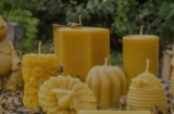 Comb Honey vs. Liquid: Which One Should You Keep in Your Pantry?
