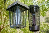 Key Facts Related To Mosquito Killer