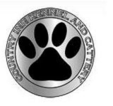 The Guide That Will Help You to Look for Cat Boarding Services