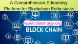 A Comprehensive E-learning Platform for Blockchain Enthusiasts