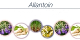 Global Allantoin Market – Industry Analysis, Trends & Forecast 2018-2025