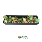 Raised Garden Bed & Raised Flower Beds