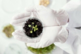 Unveiling the Best Probiotic for Gut Health: A Comprehensive Guide