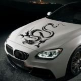 Car Stickers Australia Will Add Festive Spirit to Your Cars Windows