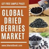Global Dried Berries Market by Manufacturers, Regions, Type, Application and Forecast to 2024