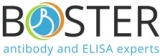 An Extensive Guide on Flow Cytometry System