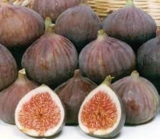 Buy Fresh Figs from Distributors to Prepare Healthy & Sweet Snacks