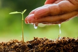 Generic Crop Protection Market 2019 – Growing Popularity and Emerging Trends in the Market