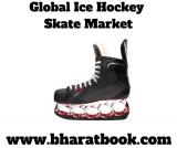 Global Ice Hockey Skate Market Size study, by Product, by Application and Regional Forecasts 2019-2024