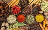 Latest Market Research Reports on In Integrated Food Ingredients