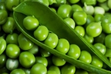 Global Pea Starch Market 2019-2025