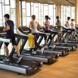 Global Gym/Club Fitness Trackers Market 2019 Sales Revenue, Cost, Import-Export Analysis, Margin 2024