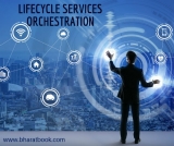Worldwide Lifecycle Services Orchestration (LSO) Market Analysis Report 2018-2023