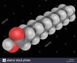 Myristic Acid Market Growth Prediction 2019 (VVF LLC,  H Foster,  Natural Health Enterprises and   Axaria Europe)