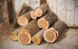 3 Cheapest Ways to Arrange Firewood for Upcoming Winters