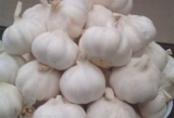 Garlic Suppliers – Fill your Dish with Healthy-promoting Elements