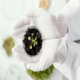 Bio-Growth Catalysts: Exploring the Diversity of Biostimulant Products