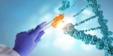 Why Protein A Antibody Purification Dominates Biologics