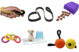 Essential Equipment for Successful Dog Training