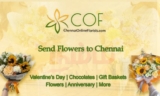 Send Flowers to Chennai – Online Delivery at Your Fingertips!