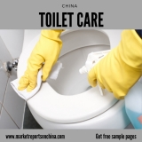 Toilet Care in China Market: Analysis and Forecast to 2023