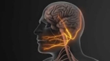 Trigeminal Neuralgia Treatment in Kolkata: Meet the Best Neurosurgeon in India