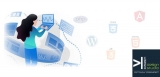 What is Website Design and Development Services? What is the need of it?