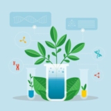 The Micronutrient Marvel: Zinc for Optimal Plant Growth and Development