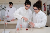 Primary education nicosia – aan.ac.cy