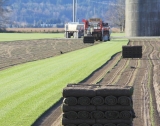How technology has changed the Automated Turf Harvester Market – 2026?
