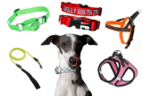 The Different Types of Dog Training Collars – Guide to Which One Is Best For Your Dog