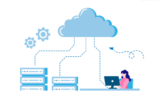 Linux Reseller Hosting Vs Windows Reseller Hosting