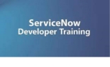 What Is a ServiceNow Developer?