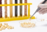 Protein Analysis Services for Accurate Protein Identification and Characterization