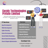 Corplyx Technologies | Best Social Media Marketing Agency in Noida
