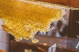 Raw Honey: The Sweet Elixir of Health and Wellness
