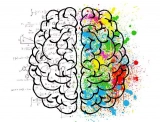 Types of Minds and How Does It Works?