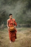 Embracing Enlightenment – The Rise of Online Daham Pasal Education