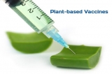 Plant-based Vaccines Market – Size, Share, Growth, Outlook, and Analysis, 2018–2026