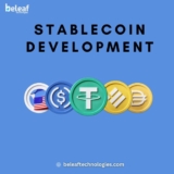How to start a stable coin development by choosing the right blockchain platforms?