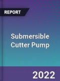 Submersible Cutter Pump Market Insights, Global Outlook and Forecast 2022-2028