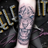 5 Essential Things You Must Consider Before Tattoo Making